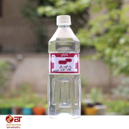 گلاب معمولی